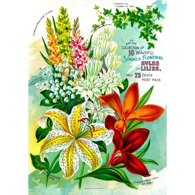 Enjoy - Puzzle Vintage Flower Catalog Art - 1 000 piese