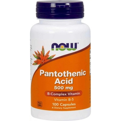 Now Foods Kyselina Pantoténová 500 mg 100 kapsúl