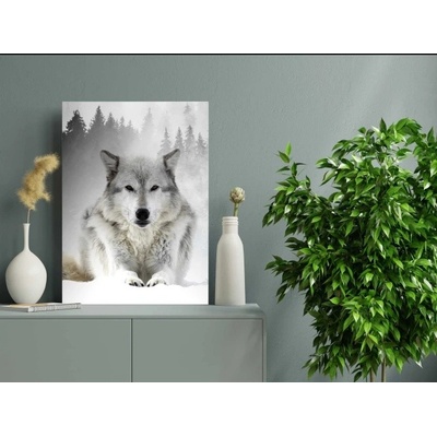 Divio Obraz na plátně, vzor 20387 Velikost: 60x90 cm