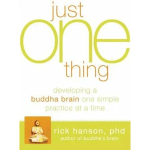 Just One Thing | Rick Hanson (2011)