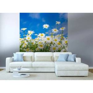 DIMEX ART Флизелинов фототапет маргаритки 225 x 250 см
