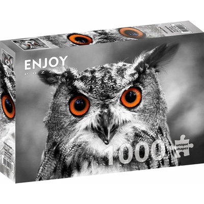 Enjoy Zvědavá sova 1000 dílků