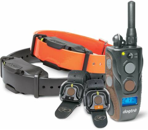 DOGTRA ARC 1202S FREE PLUS