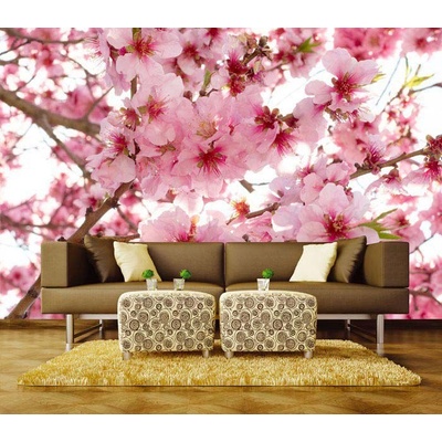 Dimex XL-524 vliesová fototapeta na zeď Apple blossom rozměry 330 x 220 cm