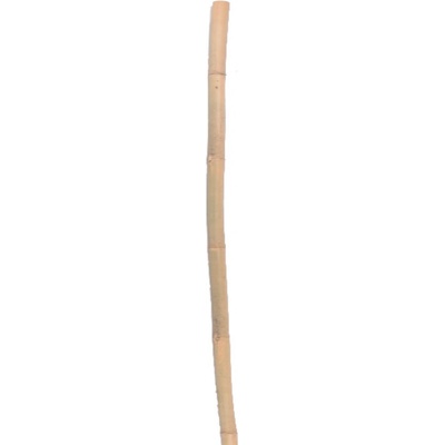 Opora rastlín 3 kusy 37 x 90 cm zelená | jaks