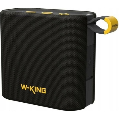 W-KING D2
