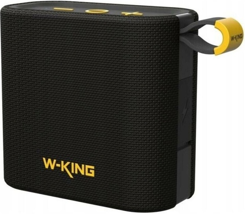 W-KING D2