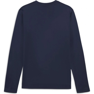 PUMA teamGOAL Training Sweatshirt