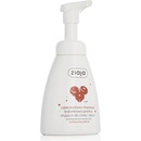 Ziaja Chocolate Mix Hands & Body Foam Wash tekuté mydlo 250 ml