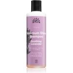 Urtekram Soothing Lavender успокояващ шампоан за блясък и мекота на косата 250ml