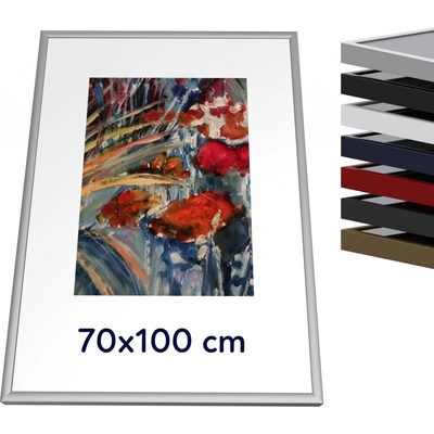 Thalu Frames Kvalitní kovový rám 70x100 cm, Barva stříbrná mat na obraz, plakát, rámeček na fotografii, puzzle. Rám má antireflexní plexisklo a variabilní závěsy