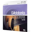 Daddario EJ13