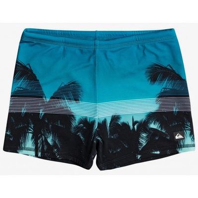 Quiksilver Everyday plavky