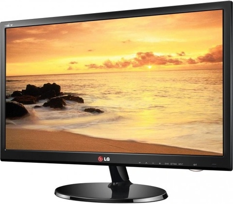 LG 24EN43VQ