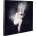 Sylvaine - Nova Digipack CD