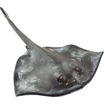 Safari Ltd Safari® Раджа бодлива