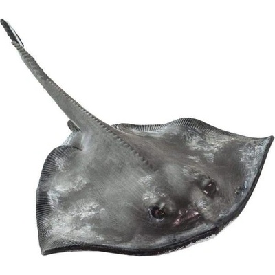 Safari Ltd Safari® Раджа бодлива