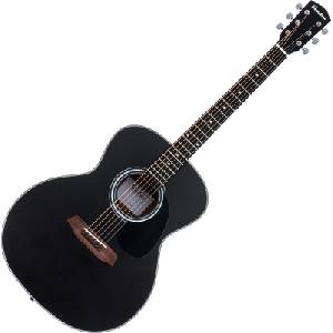 Pasadena PG-100 Black Джъмбо китара