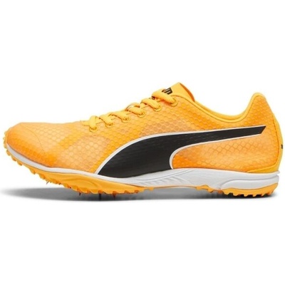 Puma EVOSPEED HARAKA 8 Unisex oranžová – Zboží Mobilmania