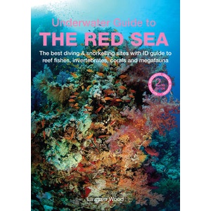 Underwater Guide to the Red Sea | Lawson Wood (ISBN: 9781913679361)