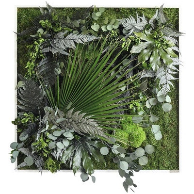 Obraz z rostlin styleGREEN Džungle 80x80 cm