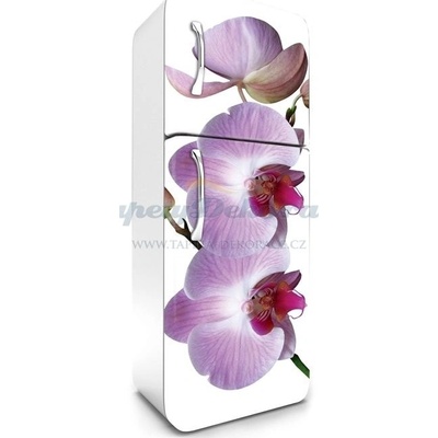 Dimex FR180-024 Samolepící fototapeta na lednice Orchid rozměry 65 x 180 cm