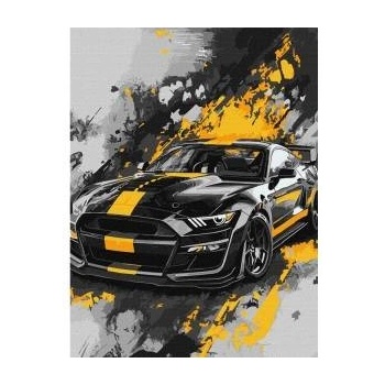 Ideyka Paint by number kit 30x40cm KHO5155 Sport style AP0091