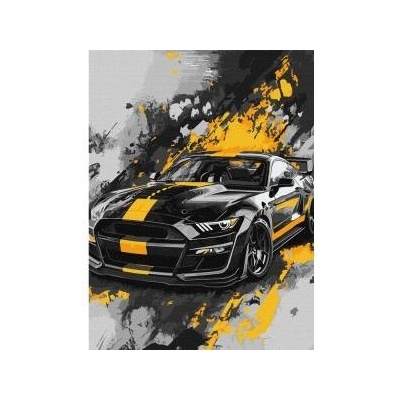 Ideyka Paint by number kit 30x40cm KHO5155 Sport style AP0091