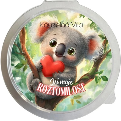 Kúzelná Víla sójový vonný vosk ROZTOMILOSŤ 20 g