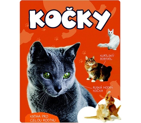 Kočky