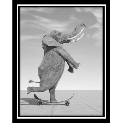 Bondecor Obraz černobílý "Slon na skateboardu" 24x30cm Barva: Bílá
