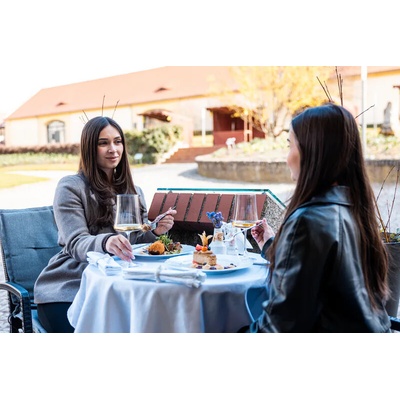 4chodové menu v restauraci Chateau Ctěnice