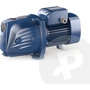 PEDROLLO JSWm 2BX