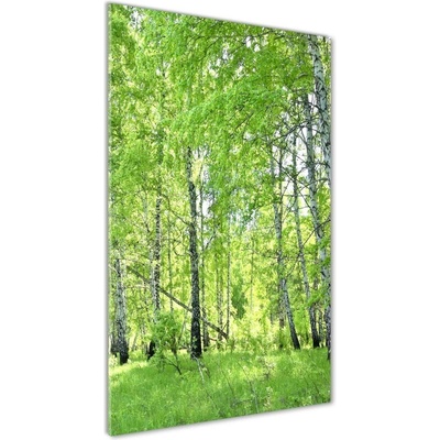 Vertikálny foto obraz fotografie na skle Brezový les 50x100 cm