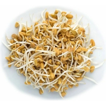 Biomiska Pískavica semienka na klíčenie - 20 g , 20 g