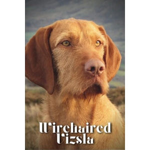 Wirehaired Vizsla (2023)