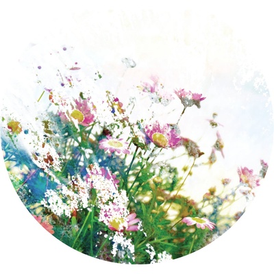 AG Design CR3301 Samolepicí vliesová fototapeta Field Flowers rozměry 140 x 140 cm