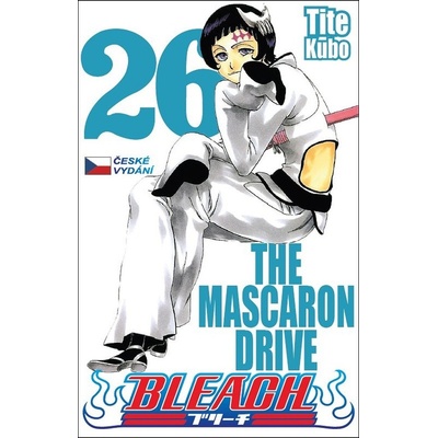 Bleach 26