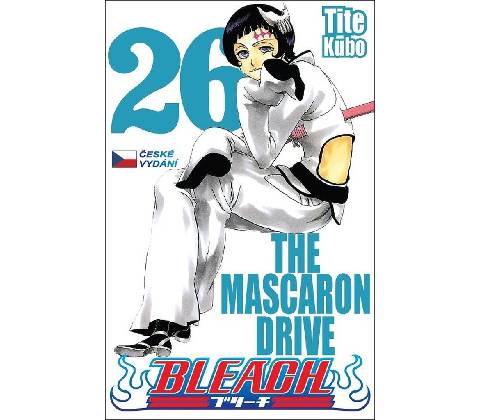 Bleach 26