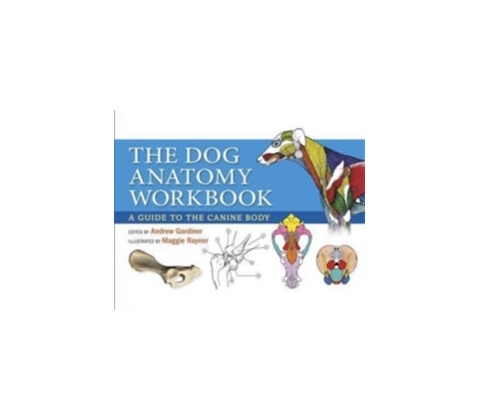 Dog Anatomy Workbook