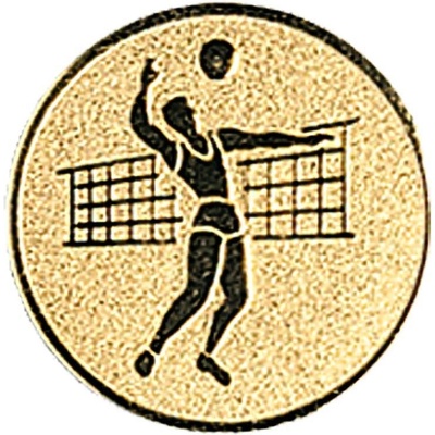 0337 Emblém volejbal