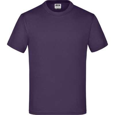 James & Nicholson tričko JN 19 aubergine