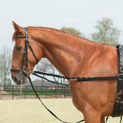 BUSSE Otěže vyvazovací Oesen-Elastik černé – Zboží Dáma