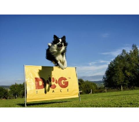 DogTrace Překážka 1m