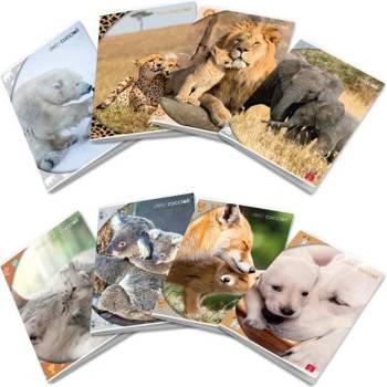 Pigna Тетрадка Pigna Animal Maxi A4 42 л (1120351-0232593-0C)