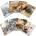 Pigna Тетрадка Pigna Animal Maxi A4 42 л (1120351-0232593-0C)