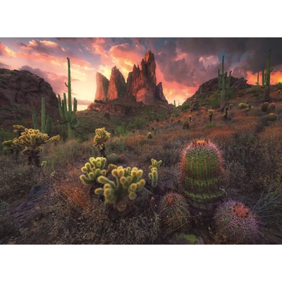 Ravensburger - Puzzle Cacti at dusk - 500 piese