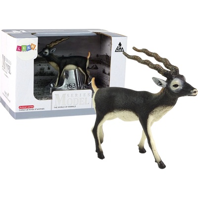 mamido Antilopa Blackbuck zvieratá sveta