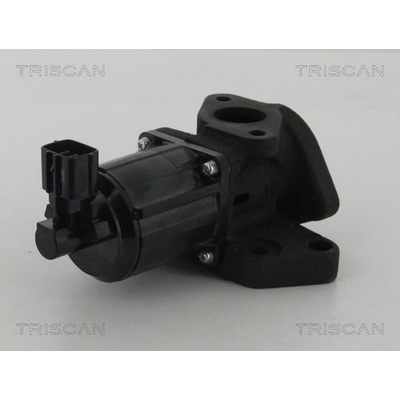 AGR - Ventil TRISCAN 8813 50007