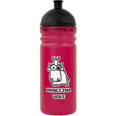 R&B Mědílek Zdravá fľaša na pitie 0,7 l Princezna vole
